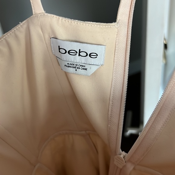 Rose and Nude Lace Dress - Picture 10 of 13